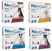 Pet Flea & Tick Control NexGard SPECTRA® complete parasite protection, all in one tasty chew - FastAndSafeStoreFastAndSafeStore