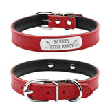 Leather Cat Collar Personalized with Nameplate - Free Engraving - FastAndSafeStoreFastAndSafeStore