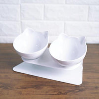 Non-slip Cat Double Bowls With Raised Stand - FastAndSafeStoreFastAndSafeStore