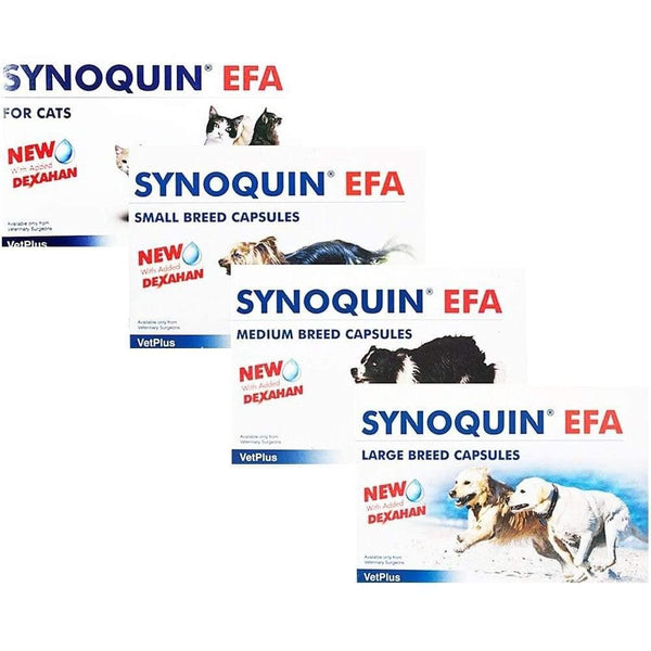 Pet Supplies VetPlus Efa Synoquin Breeds Condroprotector 30 pcs ( improves joint mobility and eliminates pain ) - FastAndSafeStoreFastAndSafeStore