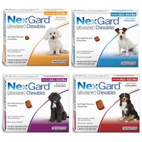 NexGard Chewables - FastAndSafeStoreFastAndSafeStore