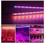 NEW LED Grow Light For Indoor 220V 75 LEDs 50cm LED Grow Plants 1 - 6pcs with EU Plug - Full Spectrum Light - FastAndSafeStoreFastAndSafeStore