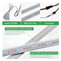 NEW LED Grow Light For Indoor 220V 75 LEDs 50cm LED Grow Plants 1 - 6pcs with EU Plug - Full Spectrum Light - FastAndSafeStoreFastAndSafeStore