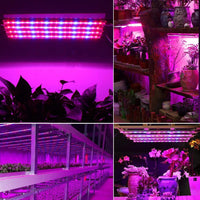 T5 Red & Blue 4 Packs Grow Lights with Auto Cycle Timer 3/6/12Hours Growing Lamp for Indoor Plants from Seeding to Harvest - FastAndSafeStoreFastAndSafeStore