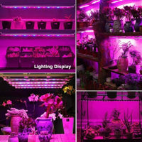 T5 Red & Blue 4 Packs Grow Lights with Auto Cycle Timer 3/6/12Hours Growing Lamp for Indoor Plants from Seeding to Harvest - FastAndSafeStoreFastAndSafeStore